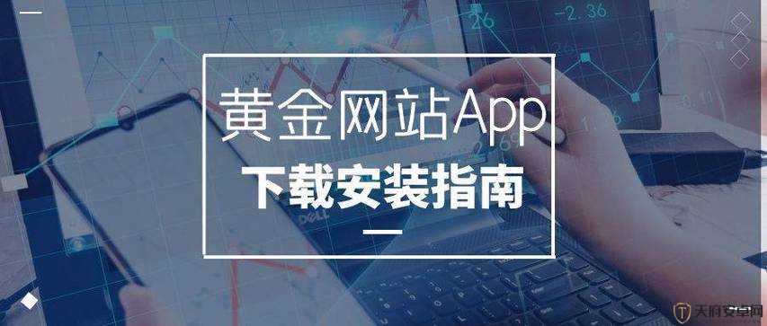 黄金网站 app 日本免费：探索无限可能