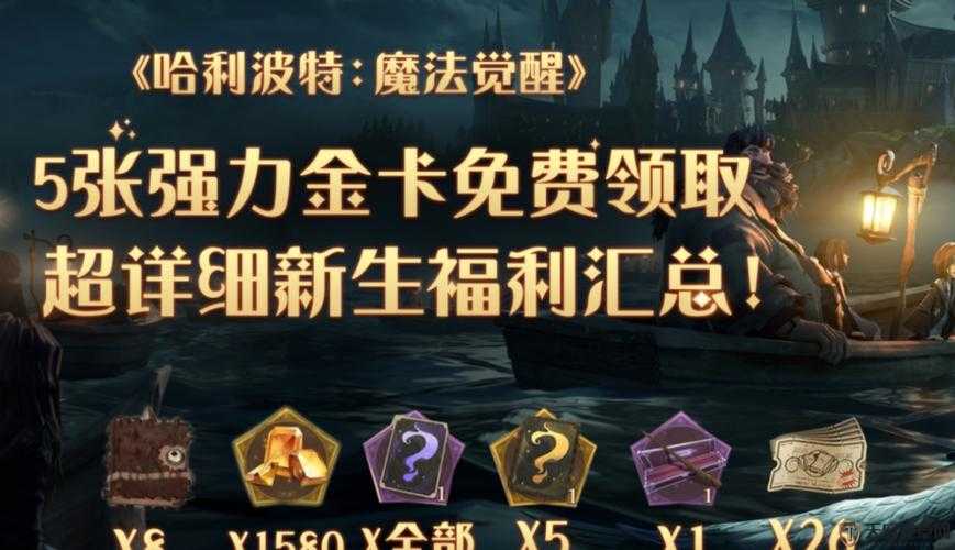 哈利波特金卡组合推荐，掌握资源管理艺术，打造无敌魔法阵容